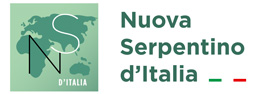 Nuova Serpentino d'italia